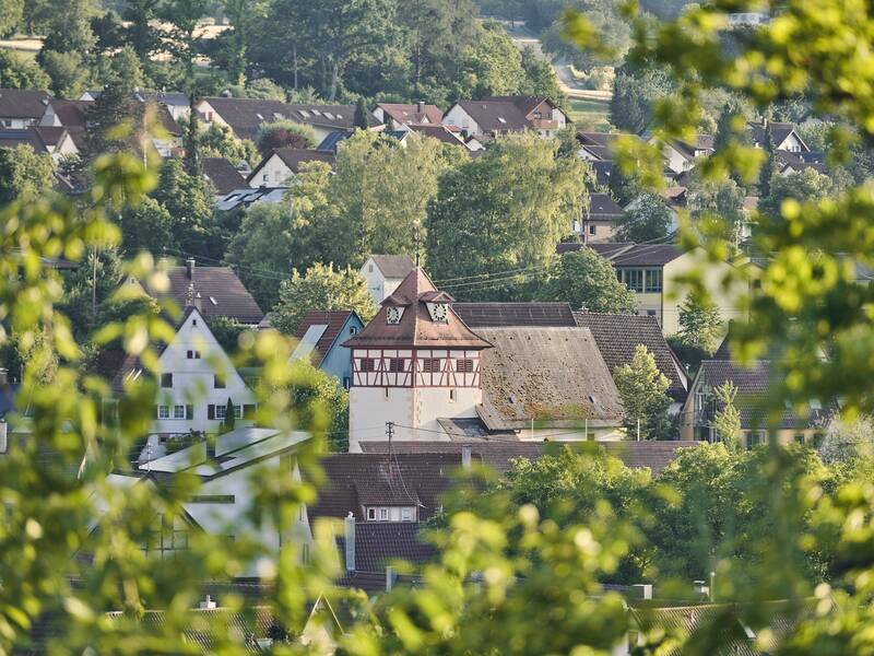 Ein historisches Fachwerkhaus erhebt sich zwischen anderen Gebäuden in einer grünen, bewaldeten Landschaft.